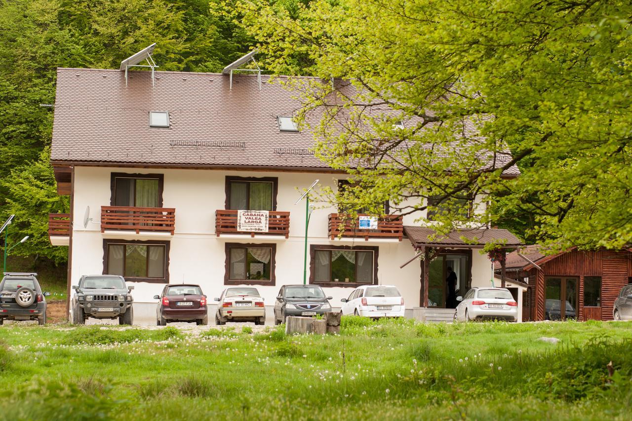 Villa Cabana Barlogul Lupilor Berevoesti Exterior foto